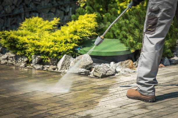 Best Roof Cleaning and Mildew Removal in Risg Sun, IN