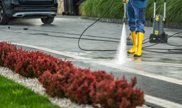 Best Vinyl Siding Pressure Washing in Risg Sun, IN